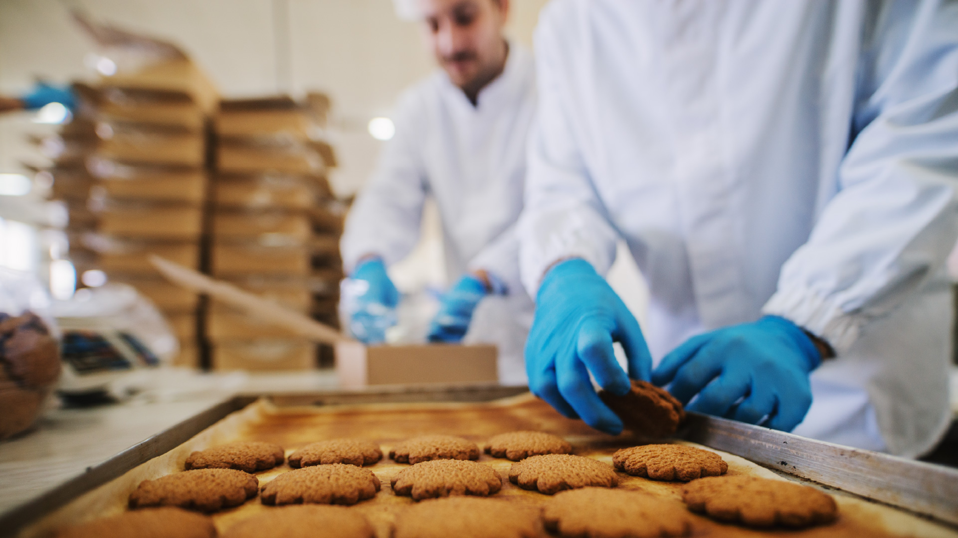 Galletería | Química Básica